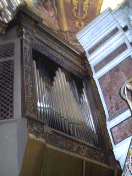 organ